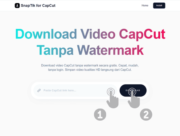 Paste Link Video Tempel link di SnapTikCut